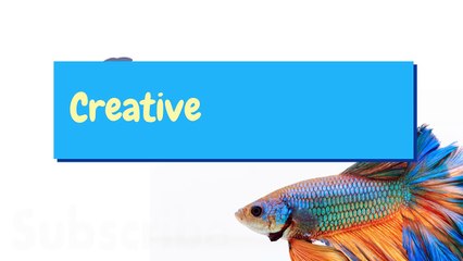 Mini Heater failure! _ Betta fish sudden death.. -6dzOHE7iJtc