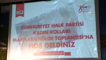 CHP Kadın Kolları Başkanı Köse: 