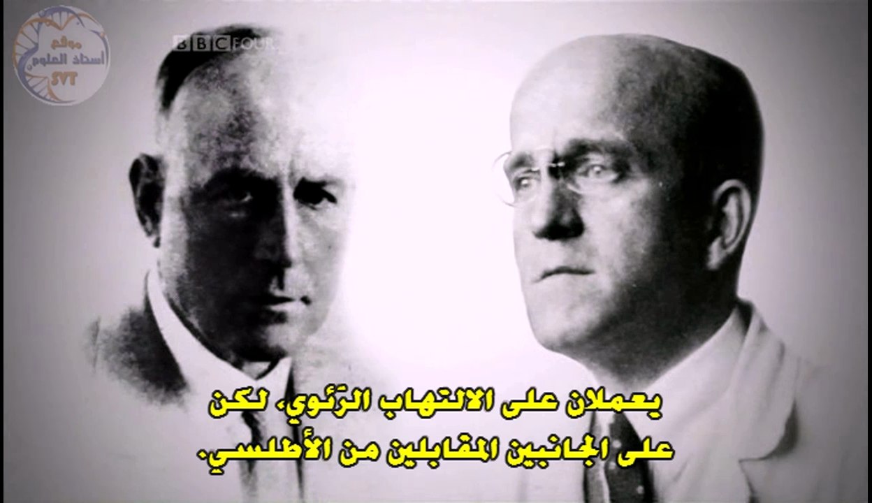 الكشف عن الطبيعة الكيميائية للخبر الوراثي: تجارب غريفيث 1928 وأفيري 1944 و اكتشاف كريك و واتسون 1953