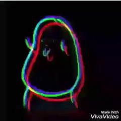 A minha Rola batendo na sua Cara