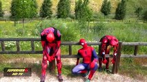 T Rex in real life compilation. Spiderman Ironman, Captain America, Joker, T Rex, compilation Vol 18