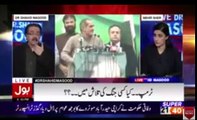Maryam Nawaz Media Cell made Blunders in panama Case