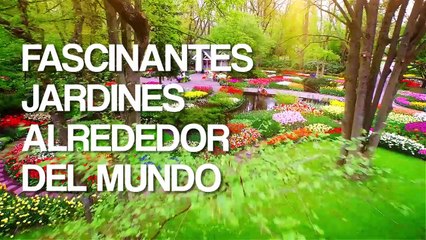 Fascinantes jardines alrededor del mundo