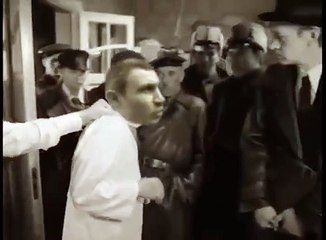 Собачье сердце  Шариков снова пёс! Прикол!