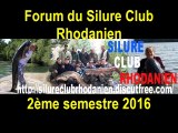 Silure Club Rhodanien : Poissons du forum du Silure Club Rhodanien