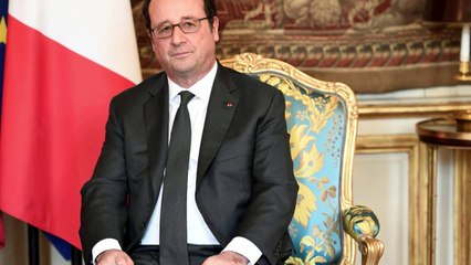 La chienne de François Hollande percutée par le secrétaire général de l’Élysée