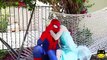 Spiderman & Frozen Elsa BREAK UP? vs Harley Quinn Joker Braces Toys! Superhero Fun IRL M&M Challenge