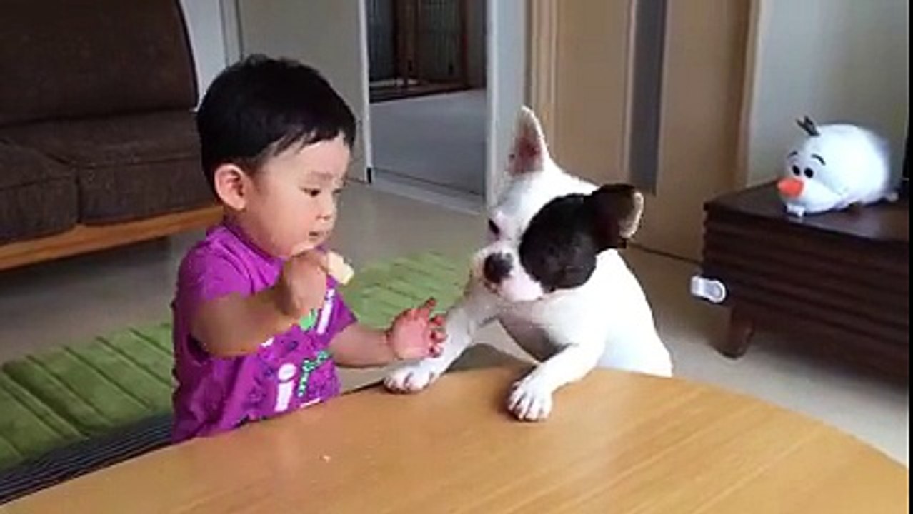 Dog Weeping