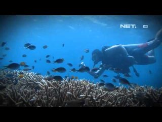 NET24 - Menyelam Laut di Manado