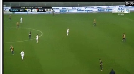 Davide Luppi Goal HD - Verona 1-1 Benevento 03.02.2017.