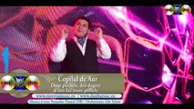 Copilul de Aur - Doar pocnesc din degete si imi fac toate poftele (Official video) 2017