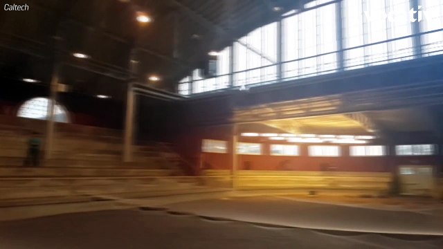 Bat Bot Takes Flight With Speed And Agility