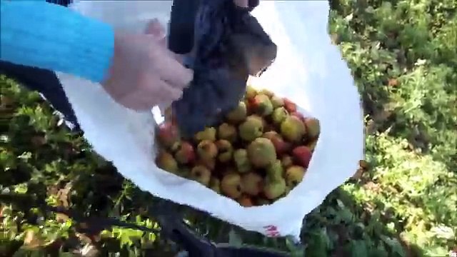 karadenizde Organik Sirke Üretim Serüveni organik yaşam