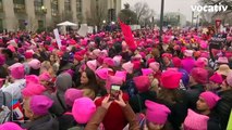 Knit Your Own ‘Brain’ Hat For Earth Day Science March