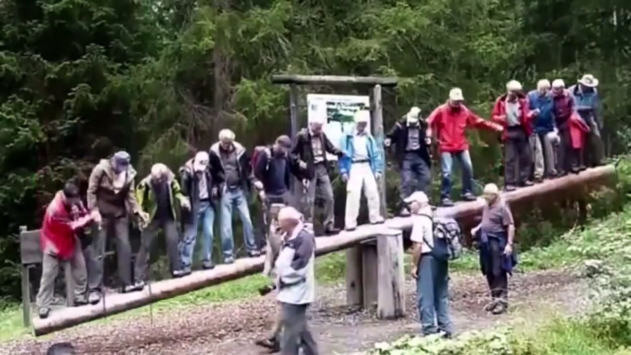 ПРИКОЛЫ ДО СЛЕЗ #19  ЛУЧШИЕ ПРИКОЛЫ 2016 Самые смешные приколы 2016