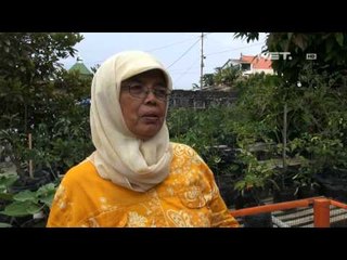 IMS - Mendapatkan penghasilan tambahan dari hasil bumi