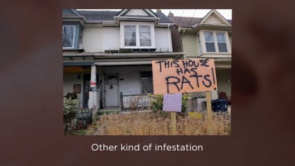 EZ Bed Bug Exterminator Chicago