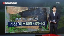 '돌' 매단 채 발견된 두 시신...거창 부부 의문의 죽음 / YTN (Yes! Top News)