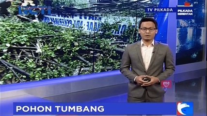 Tertimpa Pohon Tumbang, 2 Warga di Makassar Kritis