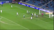 Le Havre vs Red Star 1-1 All Goals & Highlights HD 03.02.2017