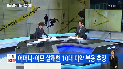 '약물에 취해?'...10대가 대낮에 엄마·이모 흉기 살해 / YTN (Yes! Top News)
