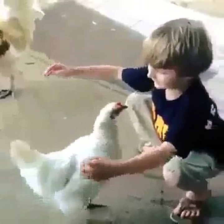 Супер мега ржачный прикол  мальчик обнимает курицу  лучшие приколы с детьми за сентябрь 2014