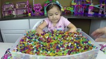 ORBEEZ SURPRISE TOYS CHALLENGE MATCHING GAME MLP MyLittlePony Littlest Pet Shop LPS PalacePets Toy