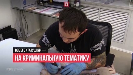 Russie: Un chat « sphynx »se fait tatouer par son maître