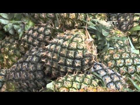NET12 - Enak dan renyahnya nanas yang diolah menjadi kerupuk nanas