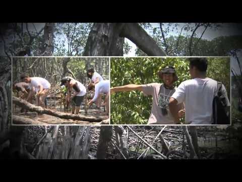 NET5 - Komunitas Hijau yang peduli lingkungan