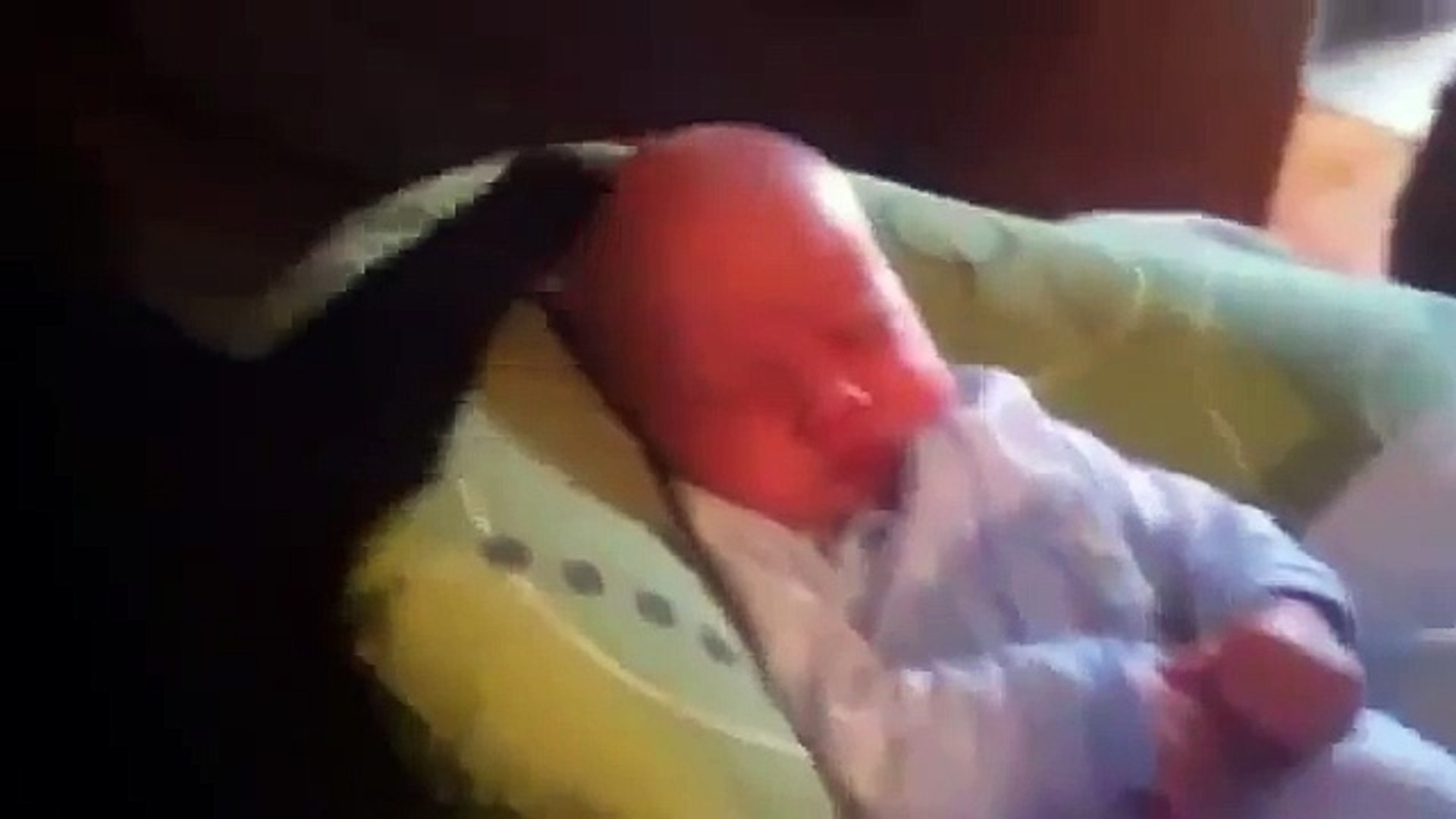 ⁣Кот Убаюкивает Ноющего Ребенка