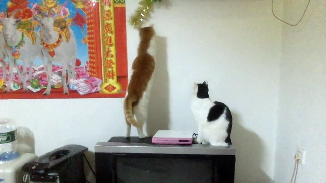 David Bowie Starman Cover on Acoustic Guitar - Singalong Insomnia #8