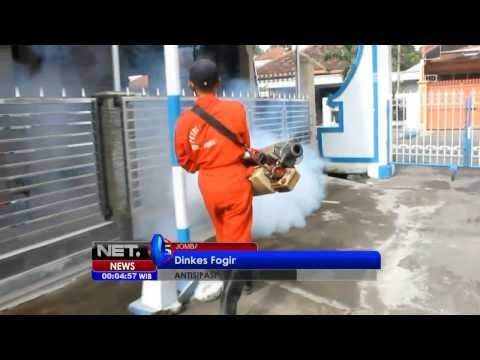 NET24 - Fogging DBD - Dinkes Kesulitan