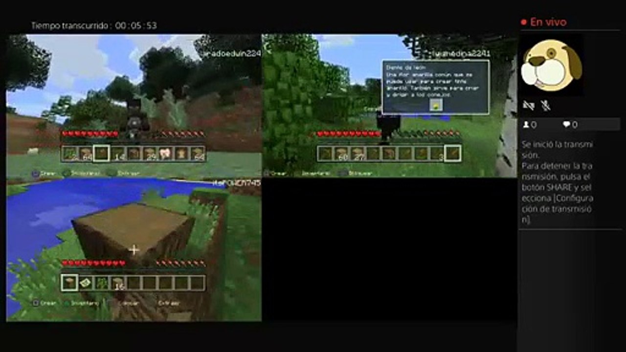 Minecraft (25)