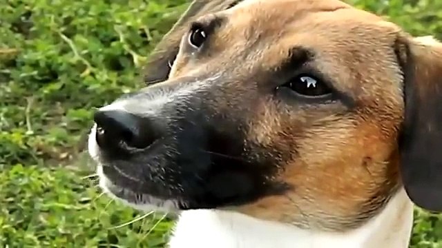 Приколы и неудачи Улетное видео Ржач