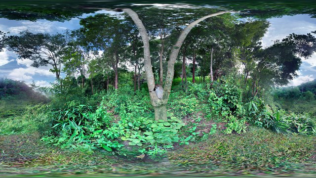 Get a closer look at over 3000 species-ATBKji8WxmY