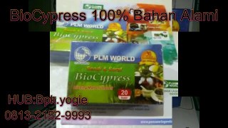 0813 2152-9993(bpk yogie),Obat Herbal Sehat, BioCypress Medan