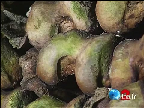 Les catacombes de Paris en danger - Archive INA-9zMuiIFnp3Q