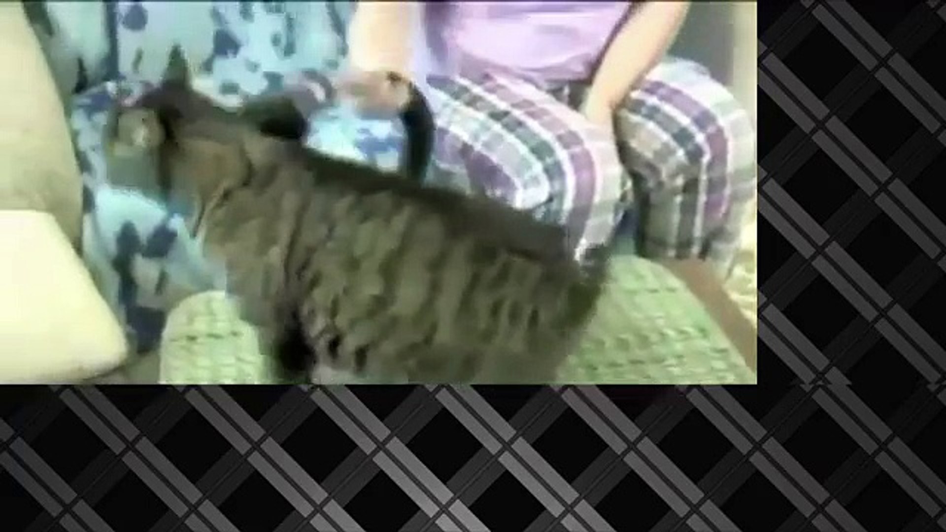 ⁣Самые новые угарные приколы! Подборка Приколов 2015