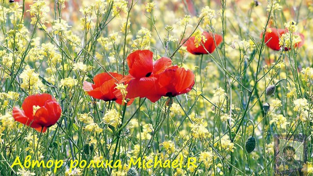 Прекрасное Далеко