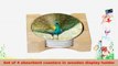CounterArt Teal Peacock Design Absorbent Coasters in Wooden Holder Set of 4 95c270fd