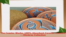 The Coaster Works 100 Absorbent Ceramic Coasters Mimbres Collection d2d68a1c