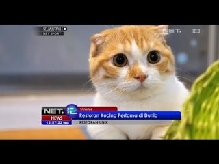 NET12 - Restoran Hewan Unik di Dunia