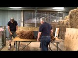 IMS - Selandia Baru Alpaca sebagai pembuat Wool