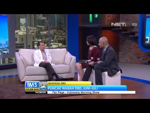 IMS - Talkshow Waspada Penyakit Demam Berdarah