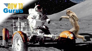 Moon Monkeys Attack Astronaut Hoax - A Photoshop Elements 15 14 13 12 11 Photography Effects Tutorial