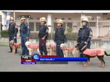 NET12 - Jakarta Rescue, anjing pelacak