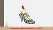 Epic Products High Heel Shoe Bottle Holder Multicolor 27880bf0