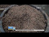 IMS - Pabrik penghasil terasi udang rebon di Indramayu