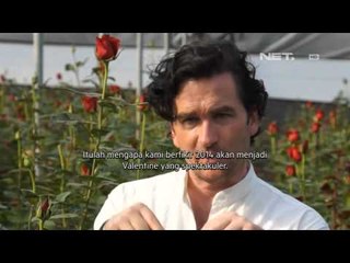 NET24 - Mawar Unik Berpendar dalam Gelap untuk Perayaan Valentine